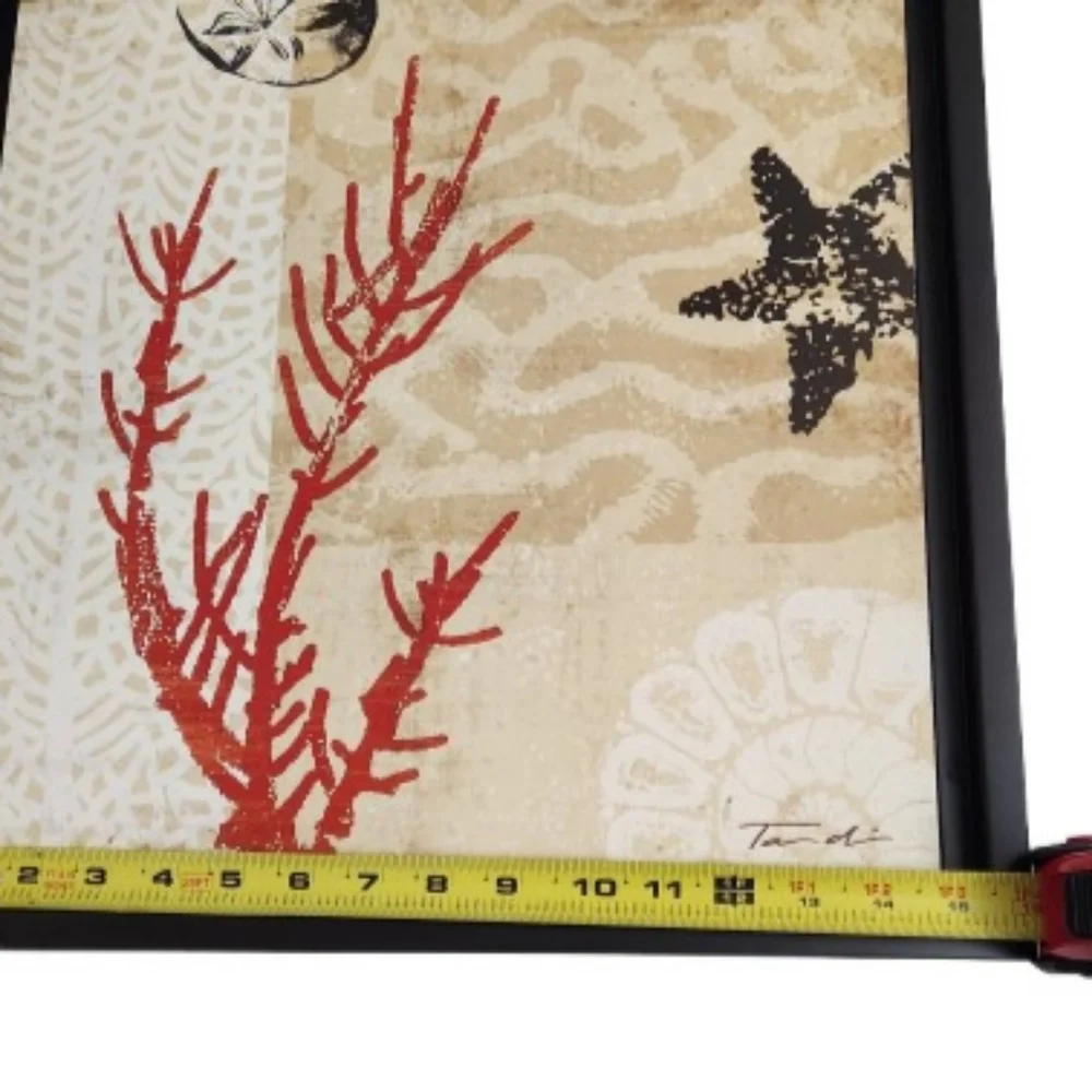 Tandi Venter Coral Impressions Framed Canvas Wall Art